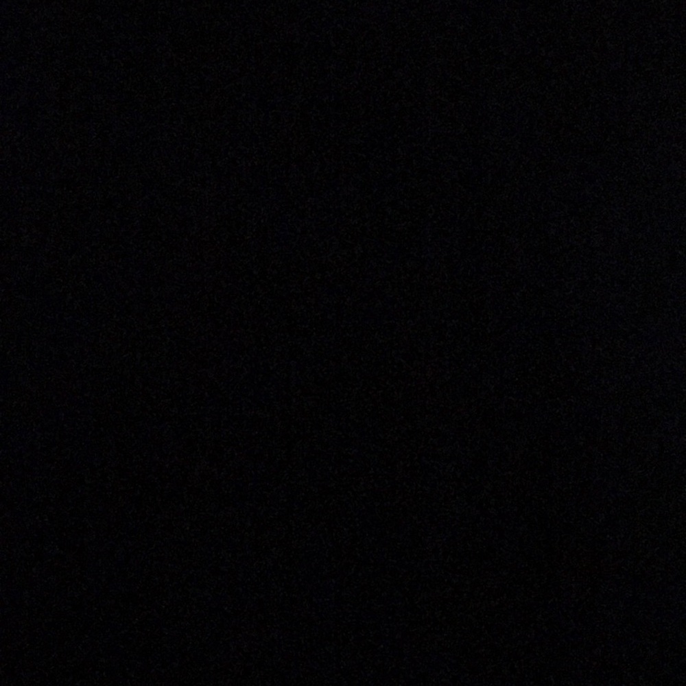 Meet your Posher, Izzy